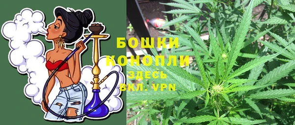 прущие грибы Богородицк