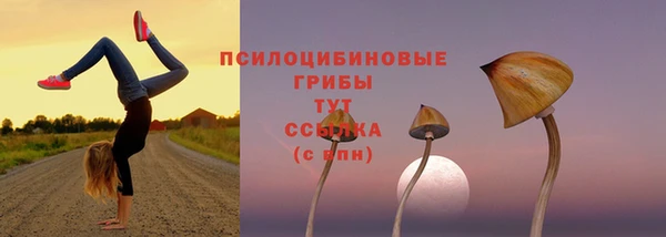 прущие грибы Богородицк