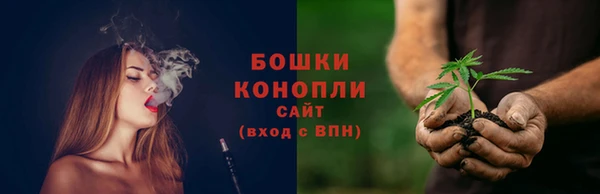 прущие грибы Богородицк