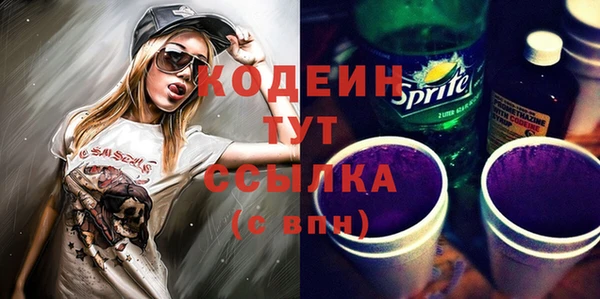 метадон Богданович