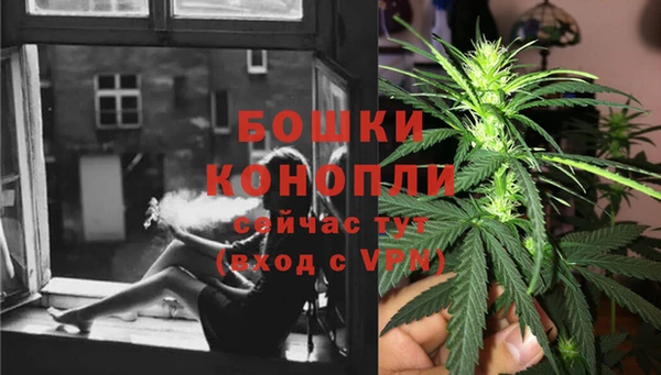 прущие грибы Богородицк