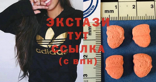 прущие грибы Богородицк