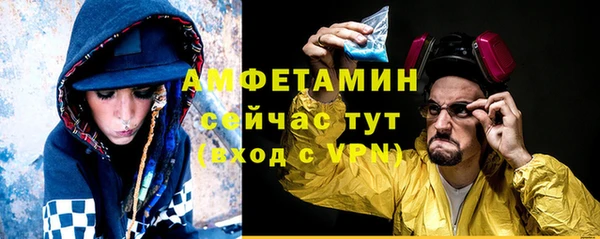 метадон Богданович