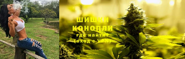 гидропоника Богородск