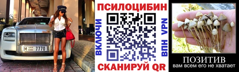 Псилоцибиновые грибы Psilocybine cubensis  Морозовск 